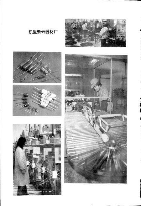 《黔东南苗族侗族自治州志 重工业志 乡镇企业志》.pdf电子版_贵州省志预览图4