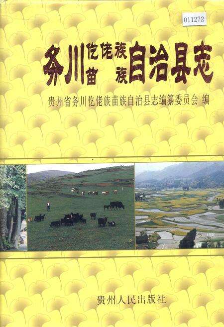 《务川仡佬族苗族自治县志》.pdf电子版_贵州省志缩略图