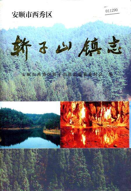 《安顺市西秀区轿子山镇志》.pdf电子版_贵州省志缩略图