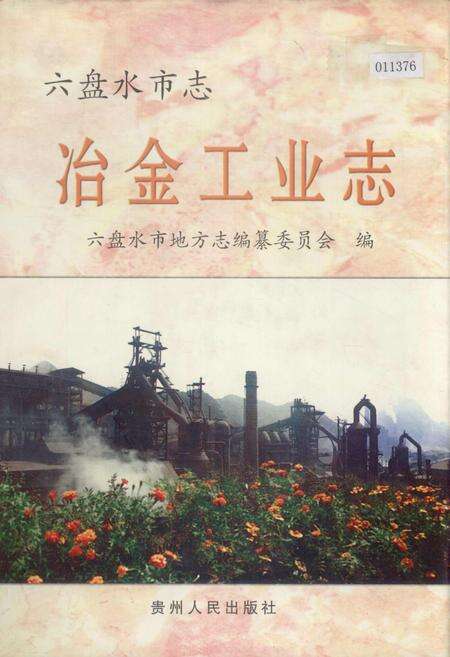 《六盘水市志 冶金工业志》.pdf电子版_贵州省志缩略图