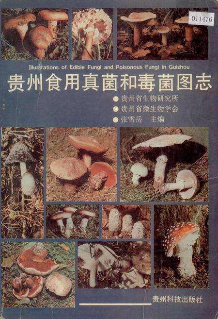 《贵州食用真菌和毒菌图志》.pdf电子版_贵州省志缩略图