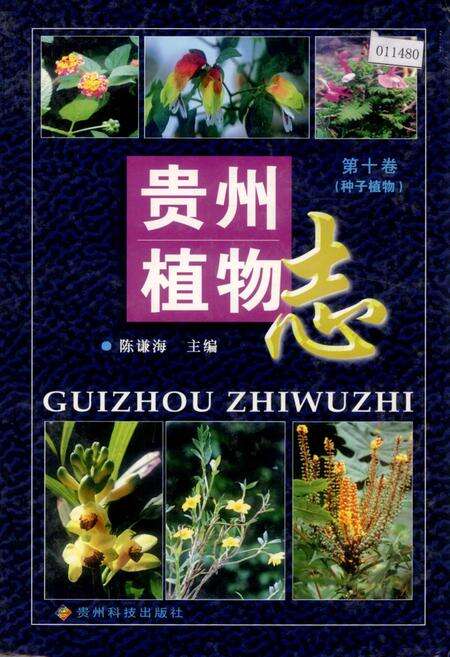 《贵州植物志 第十卷（种子植物）》.pdf电子版_贵州省志缩略图