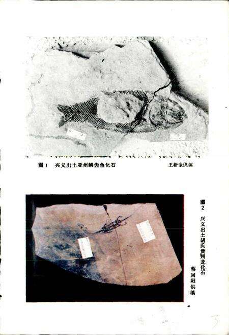 《贵州省博物馆藏品志 一》.pdf电子版_贵州省志预览图4