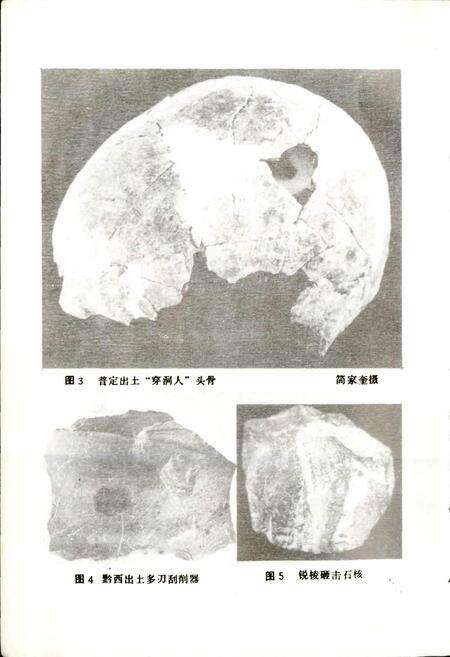 《贵州省博物馆藏品志 一》.pdf电子版_贵州省志预览图5