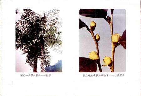 《贵州省赤水县地名志》.pdf电子版_贵州省志预览图5