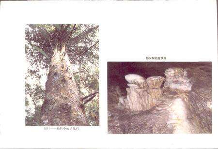 《贵州省道真县地名录》.pdf电子版_贵州省志预览图4