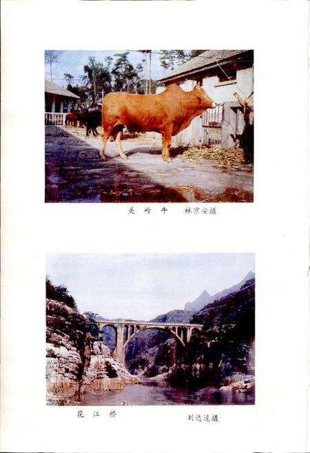 《贵州省关岭布依族苗族自治县地名录》.pdf电子版_贵州省志预览图5