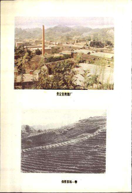 《贵州省贵定县地名录》.pdf电子版_贵州省志预览图4