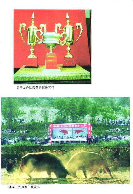 《《镇远县民族志》》.pdf电子版_贵州省志预览图4