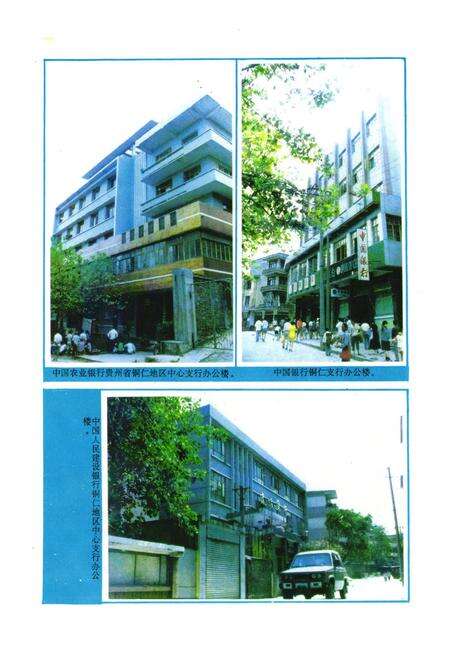 《铜仁地区志·金融志·》.pdf电子版_贵州省志预览图5