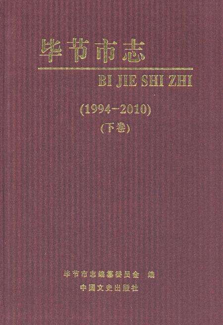 《《毕节市志(1994-2010)(下卷)》》.pdf电子版_贵州省志缩略图