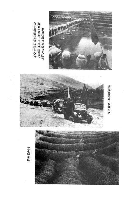 《绥阳县供销合作志》.pdf电子版_贵州省志预览图4