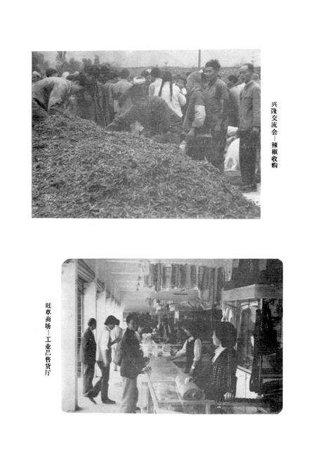 《绥阳县供销合作志》.pdf电子版_贵州省志预览图5