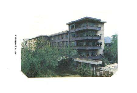 《普定县粮食志》.pdf电子版_贵州省志预览图4