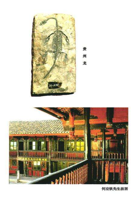 《《兴义文物志》》.pdf电子版_贵州省志预览图2