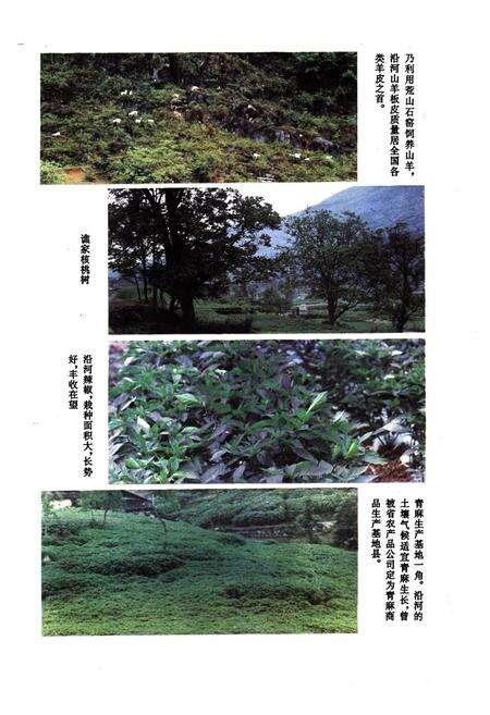 《沿河土家族自治县供销合作社志》.pdf电子版_贵州省志预览图4