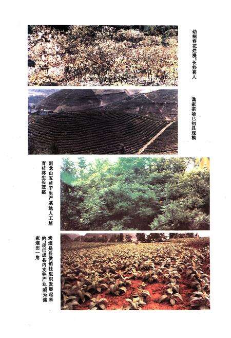 《沿河土家族自治县供销合作社志》.pdf电子版_贵州省志预览图5