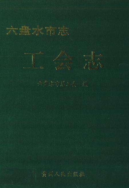 《六盘水市志 工会志》.pdf电子版_贵州省志缩略图