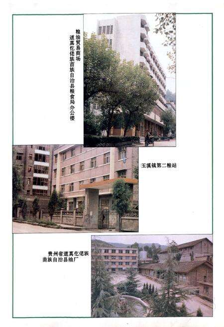 《道真仡佬族苗族自治县粮食志》.pdf电子版_贵州省志预览图4