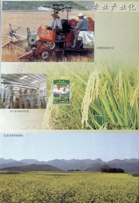 《兴义市志(1978-2006) 下册》.pdf电子版_贵州省志预览图2