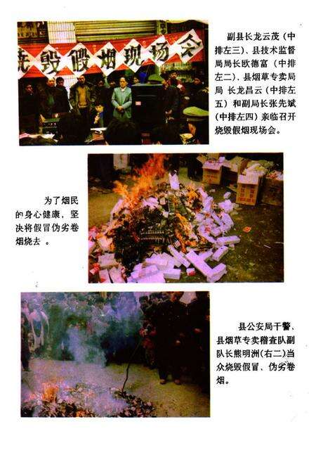 《贵州省台江县烟草志》.pdf电子版_贵州省志预览图3