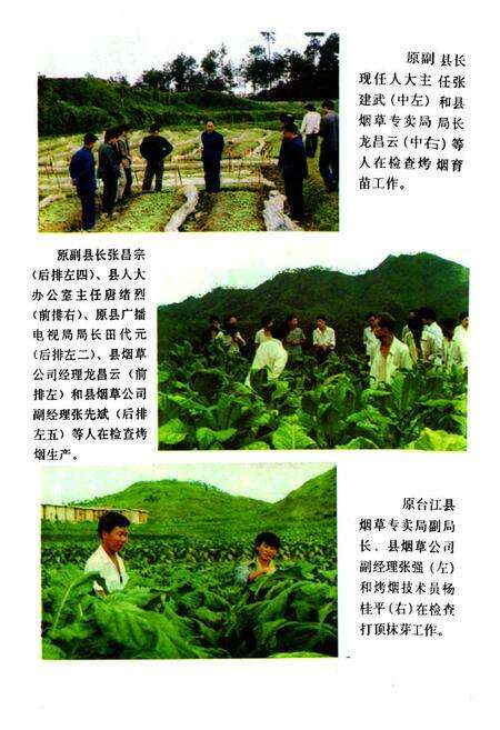 《贵州省台江县烟草志》.pdf电子版_贵州省志预览图5