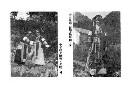 《布依族民俗志》.pdf电子版_贵州省志预览图4