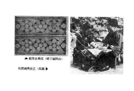 《布依族民俗志》.pdf电子版_贵州省志预览图5