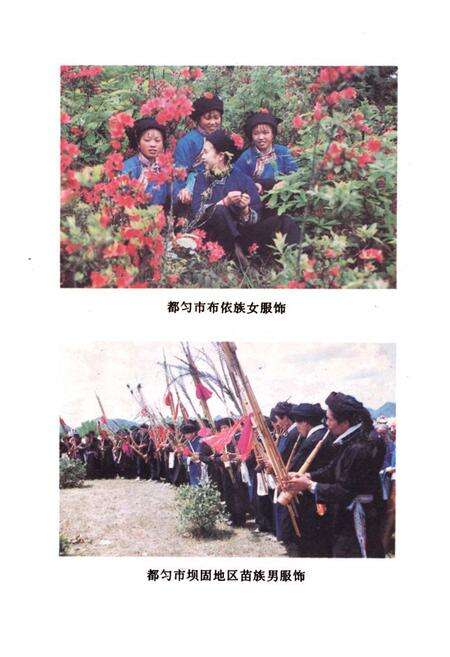 《都匀市民族志》.pdf电子版_贵州省志预览图4