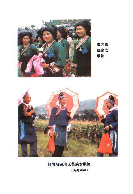 《都匀市民族志》.pdf电子版_贵州省志预览图5