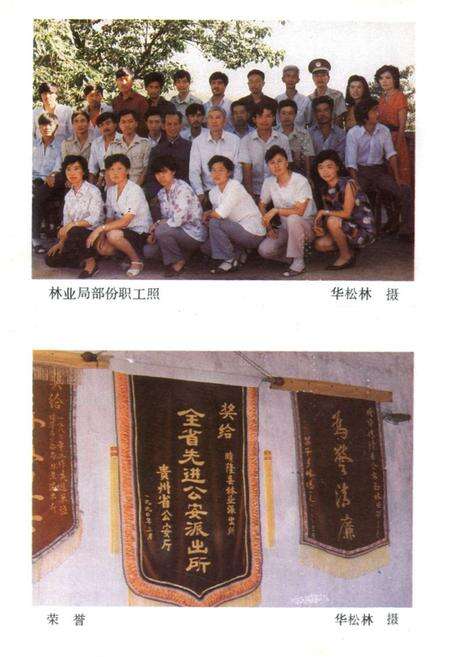 《晴隆县林业志》.pdf电子版_贵州省志预览图5