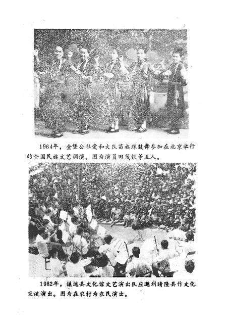 《镇远县文化志》.pdf电子版_贵州省志预览图4