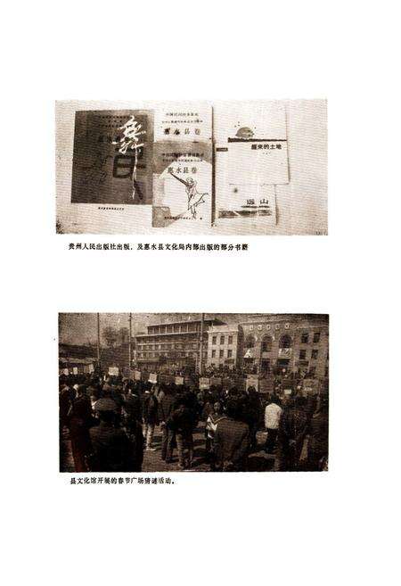 《惠水县文化艺术志》.pdf电子版_贵州省志预览图4