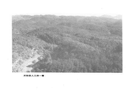 《开阳县林业志》.pdf电子版_贵州省志预览图4
