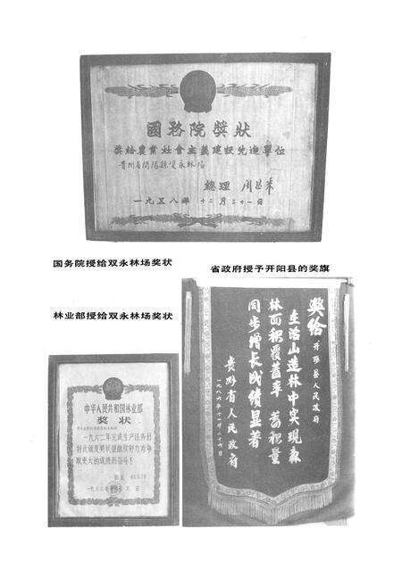 《开阳县林业志》.pdf电子版_贵州省志预览图5