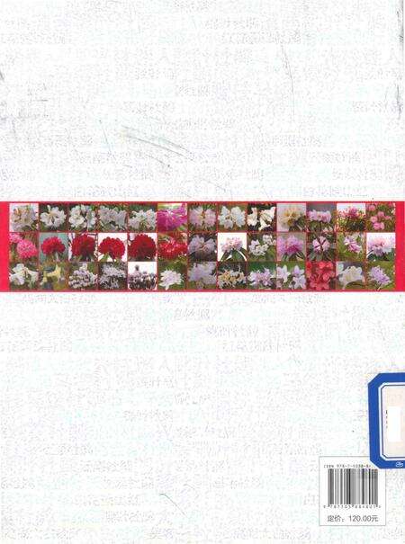 《贵州百里杜鹃  杜鹃属资源图志》.pdf电子版_贵州省志预览图2