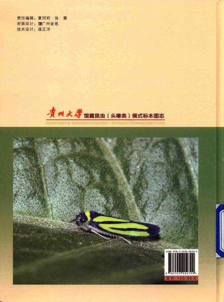 《贵州大学馆藏昆虫（头喙类）模式标本图志》.pdf电子版_贵州省志预览图2