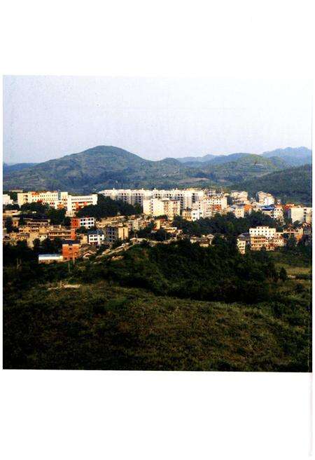 《遵义县龙坪镇志》.pdf电子版_贵州省志预览图2