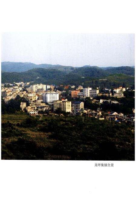 《遵义县龙坪镇志》.pdf电子版_贵州省志预览图3