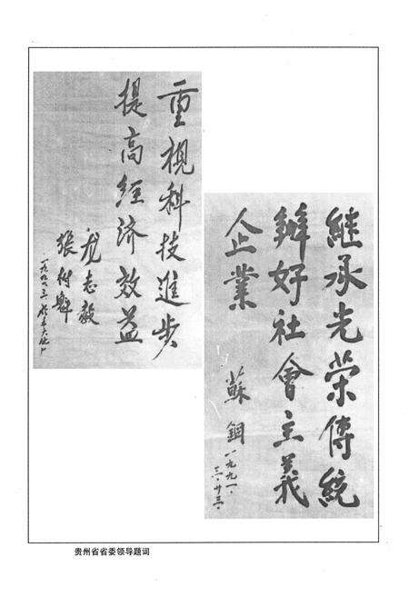 《赤天化志》.pdf电子版_贵州省志预览图3