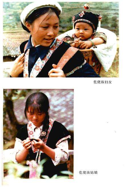 《务川仡佬族苗族自治县概况》.pdf电子版_贵州省志预览图5