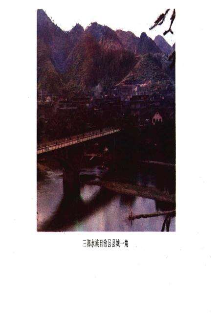 《三都水族自治县概况》.pdf电子版_贵州省志预览图4