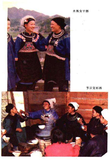 《三都水族自治县概况》.pdf电子版_贵州省志预览图5