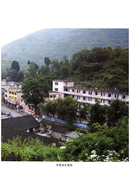 《遵义县茅栗镇志》.pdf电子版_贵州省志预览图4