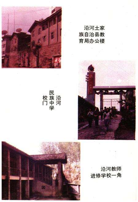 《沿河教育志》.pdf电子版_贵州省志预览图3