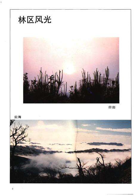 《雷山县林业志》.pdf电子版_贵州省志预览图5