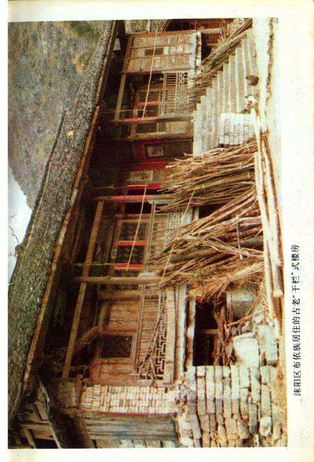 《罗甸县志▪民族志》.pdf电子版_贵州省志预览图4