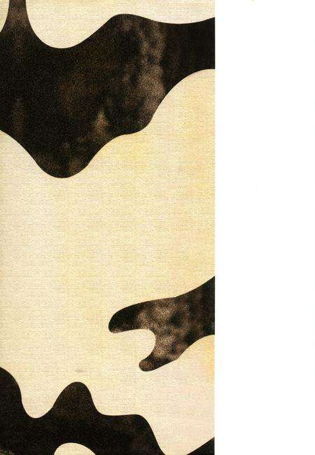 《织金洞志》.pdf电子版_贵州省志预览图1