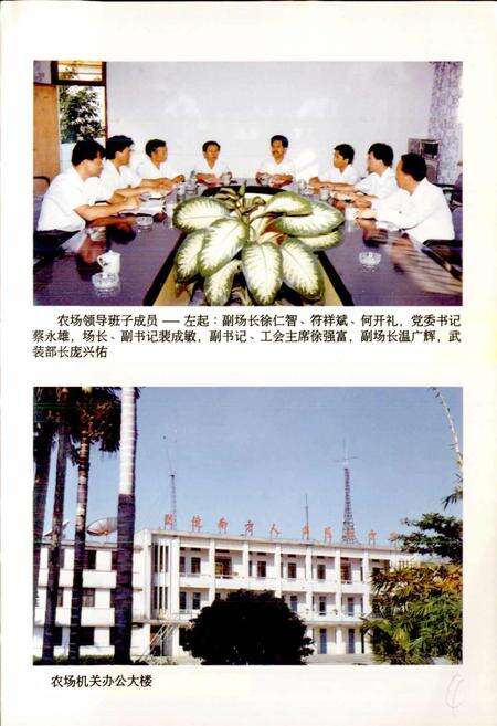 《南方农场志》.pdf电子版_海南省志预览图5