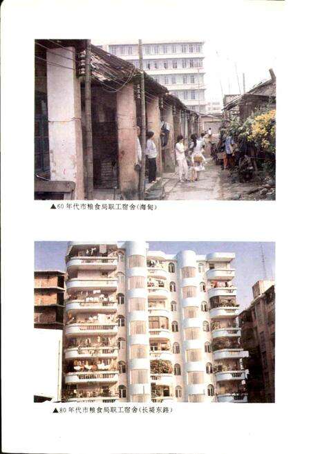 《海口市粮食志》.pdf电子版_海南省志预览图3